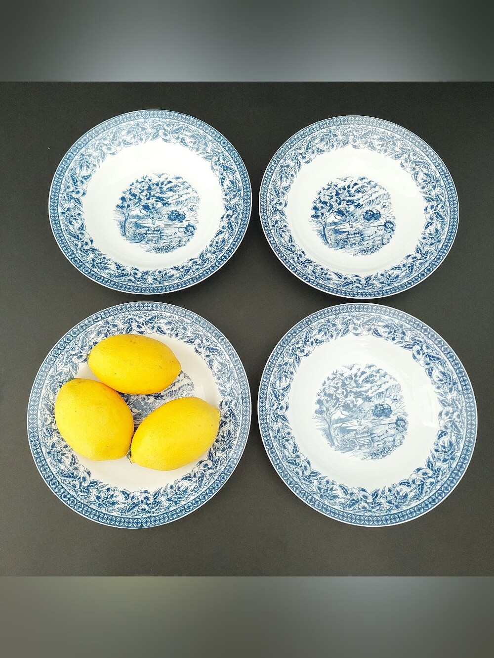 Set of 4 Royal Heritage Country Cottage Rimmed Soup Bowls 8” Blue White Toile